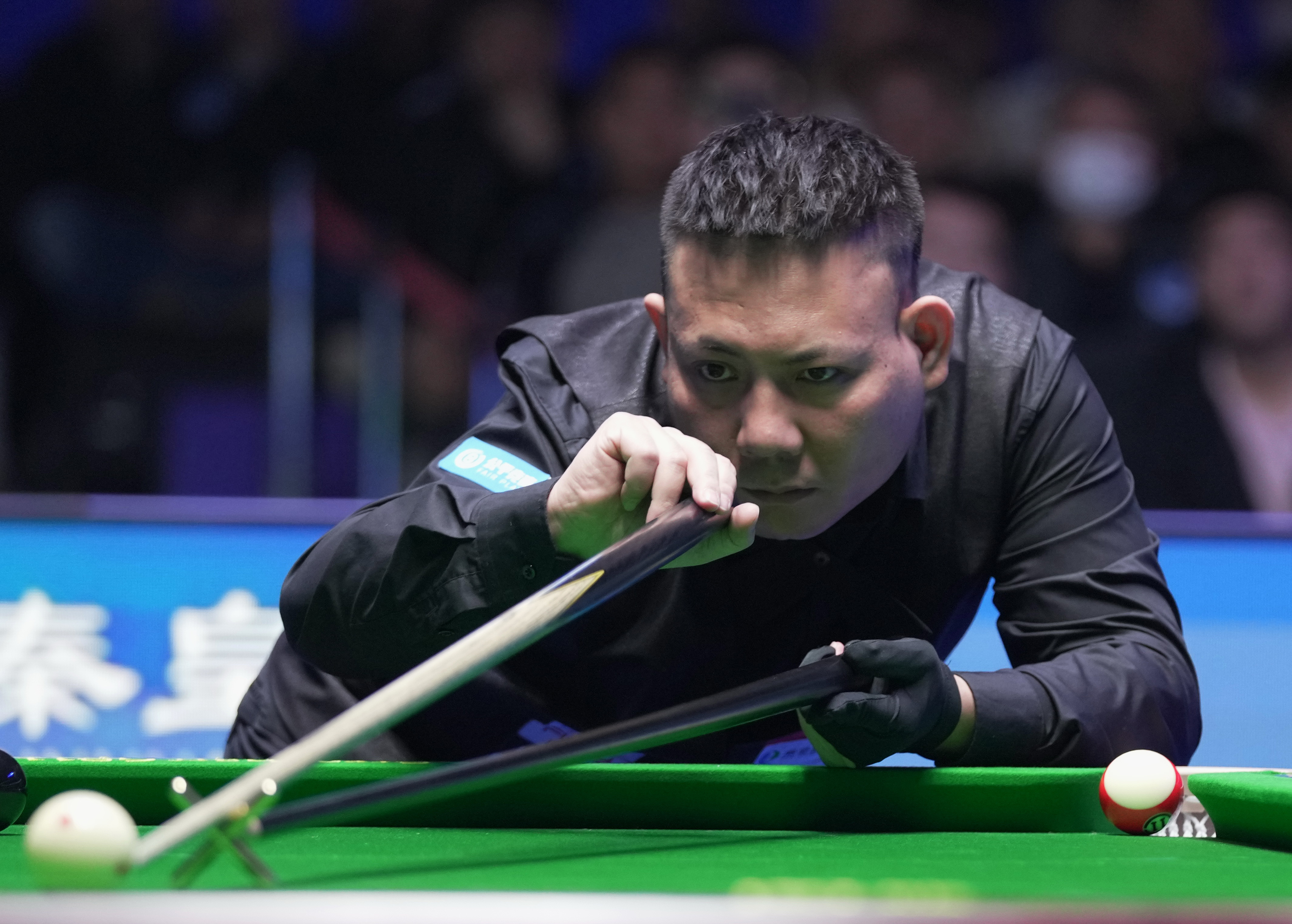 养和引进年 养和引进年