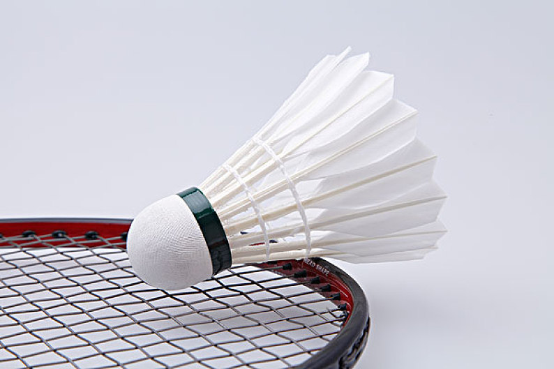 一个微小的 一个微小的