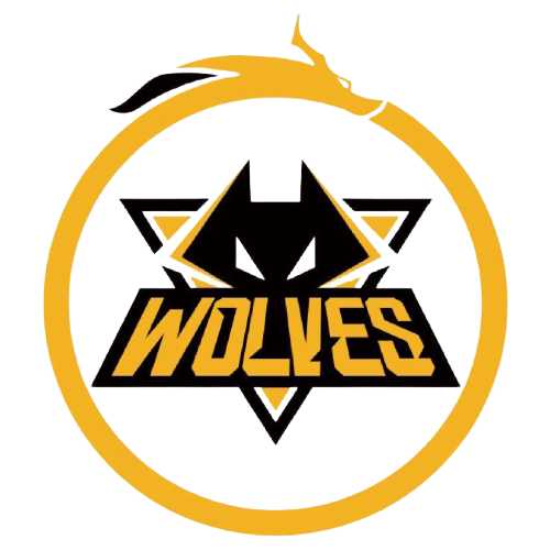 跳水运动对 跳水运动对